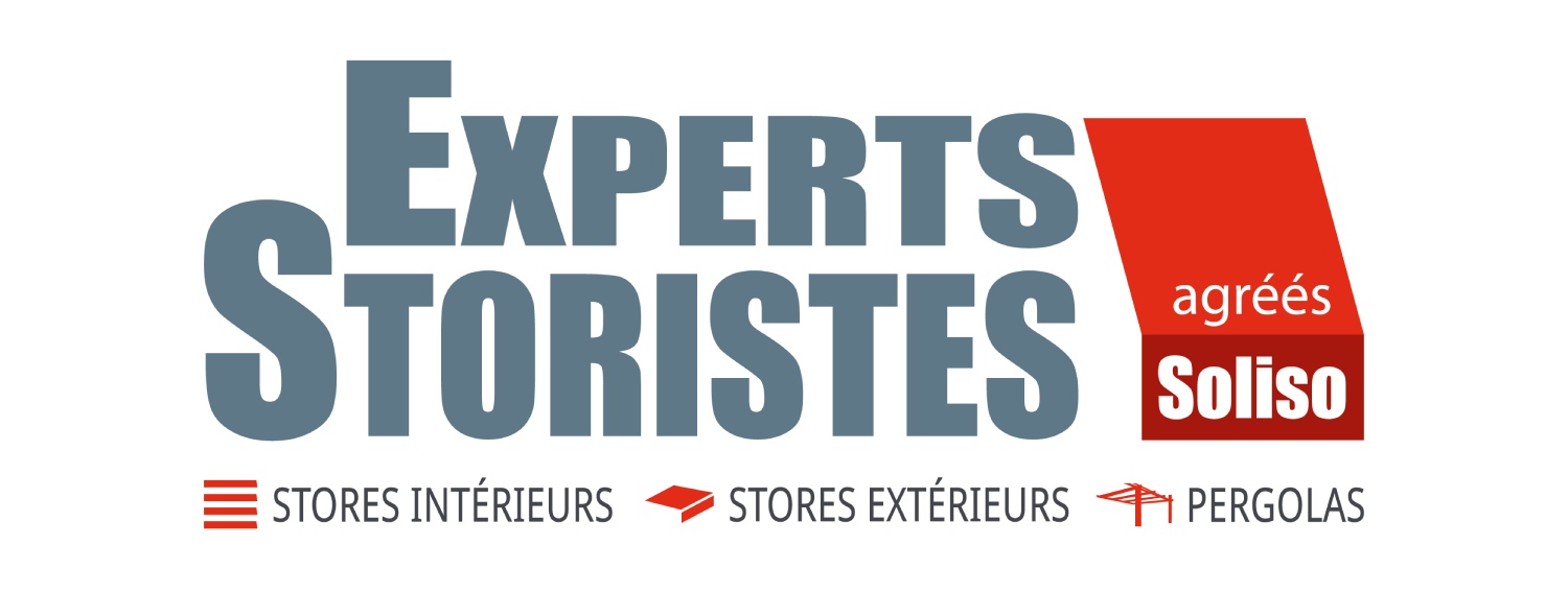 BPI_logo_Experts_Storistes